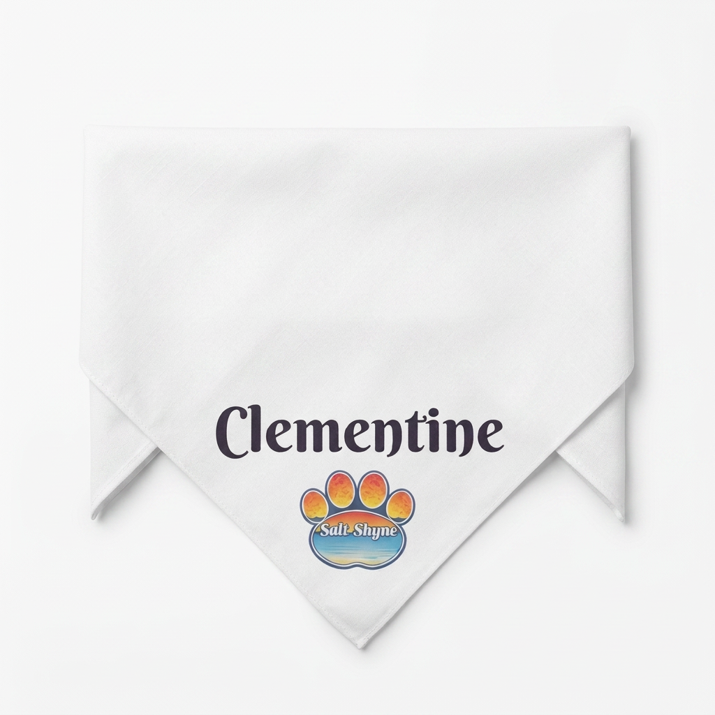 Personalized Salt Shyne Dog Bandana